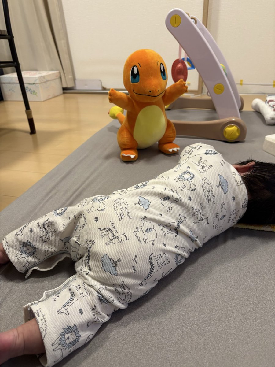 みしぇる (@michel_9899) / Posts / X