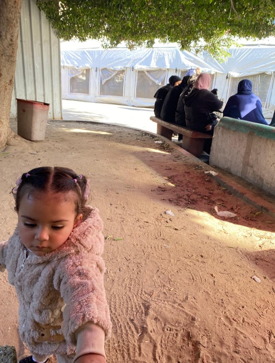 alanood🍉 tweet media