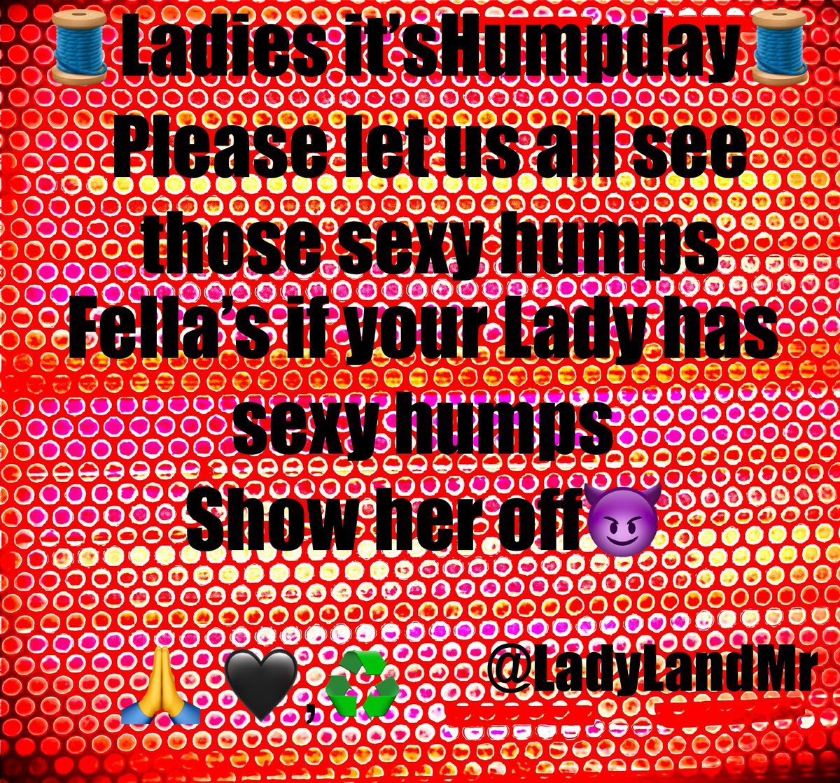 Lady L and Mr tweet media