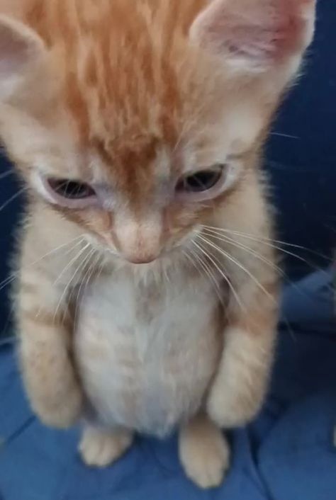 쏘미 (@ssomi_skzlove) on Twitter photo 