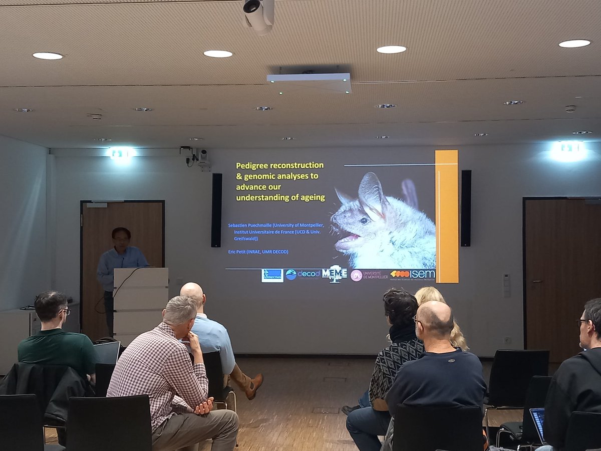 BatProtect tweet media