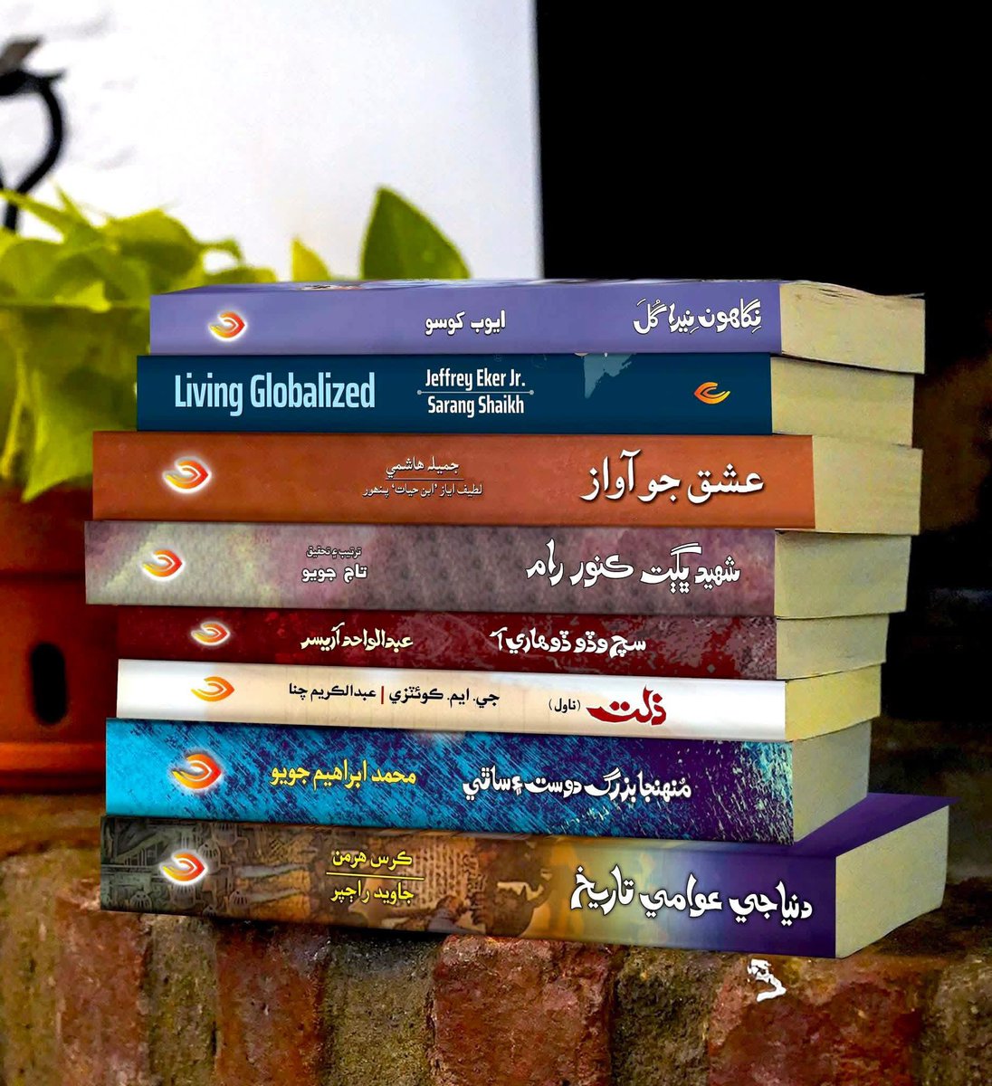 1. نگاھون نيرا گل 
2. عشق جو آواز 
3: شھيد ڀڳت ڪنور رام 
4. سچ وڏو ڏوھاري آ 
5. ذلت 
6. منھنجا بزرگ دوست ۽ ساٿي 
7. دنيا جي عوامي تاريخ 
8. ⁠Living Globalized

#literature #books