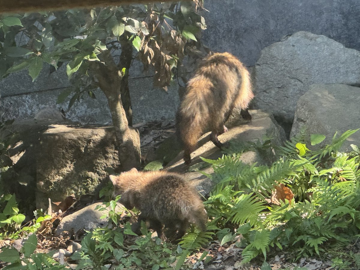 夏のお姿と比べると違いが一目瞭然ᐢ⓿ᴥ⓿ᐢ