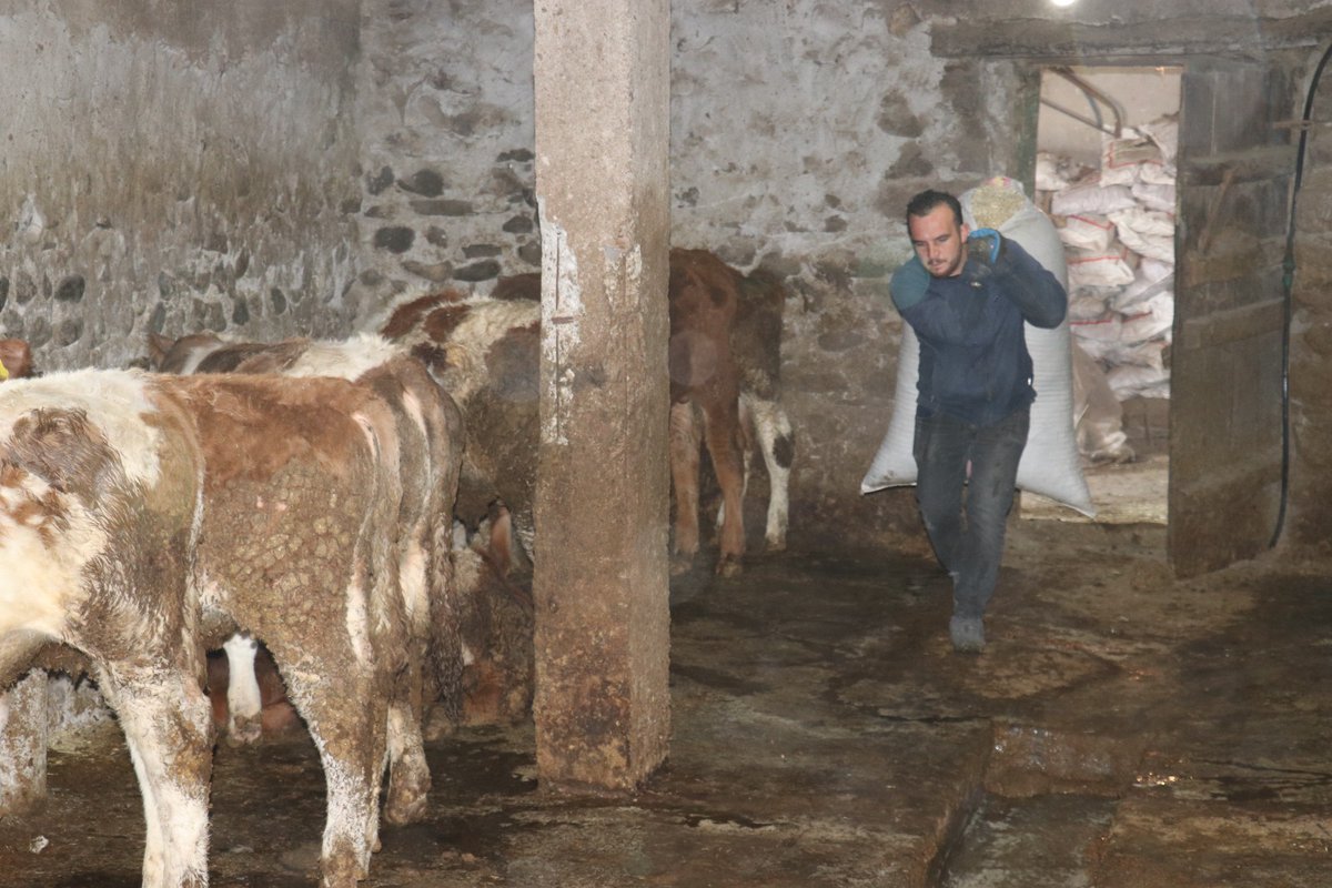 agritarimgovtr's tweet photo. İl Müdürümüz Mehmet HÜSEYİNOĞLU, Uzman Eller Projesinden yararlanan çiftçimize ziyarette bulundu.

@TCTarim 
@ibrahimyumakli 
@mehmethsyngl https://t.co/JJ8Qb69pGN