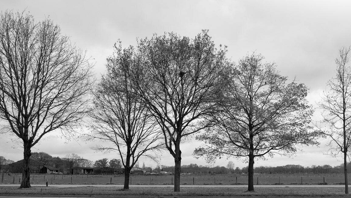 Fred Baltus tweet media