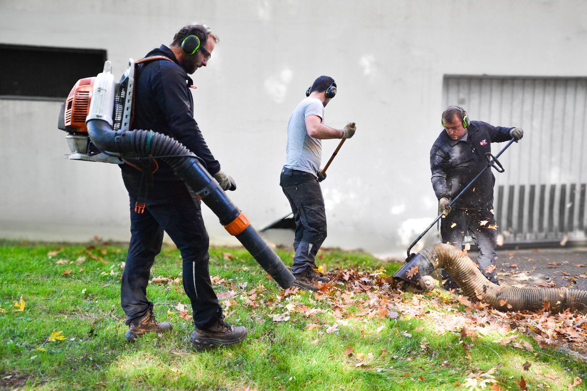 Angers Loire habitat tweet media