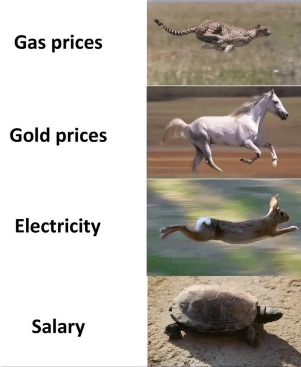 SallyMayweather's tweet image. End the Fed. Arrest the banksters.