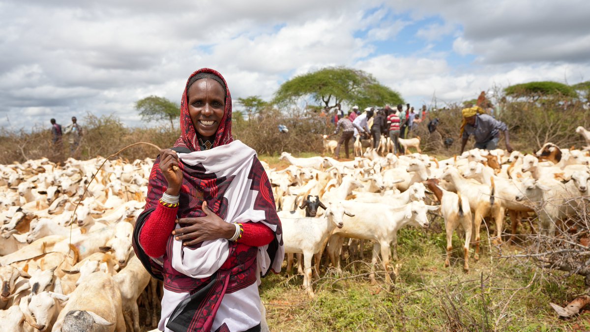 From farms to forums: women deserve safety everywhere.
FAO works to protect rural women online &amp; offline.

#EthiopiaPSEANetwork
#16DaysActivism
#GenderEquality
#NoExcuse
#PSEA
#DigitalSafetyforHer
#ACTtoEndViolence
#EndGBV 
#SurvivorCentered
#SafeWorkplaces