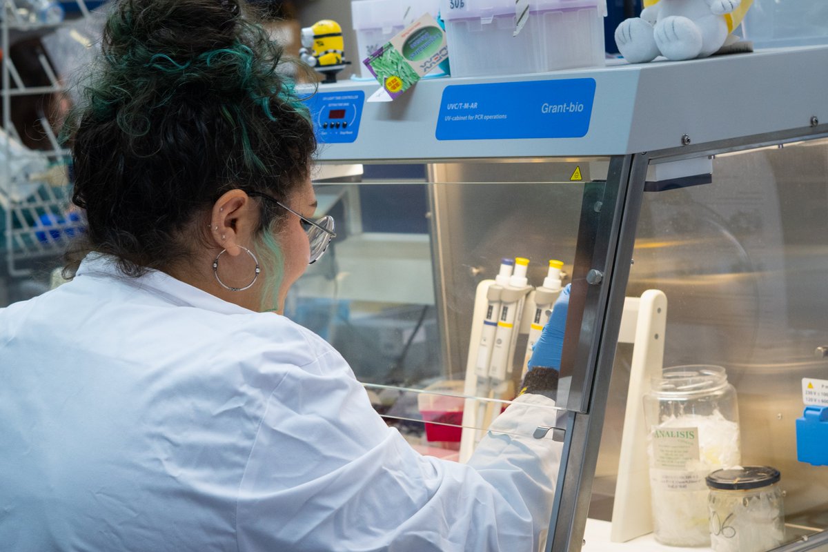 iata_csic's tweet image. Inés Girón, investigadora postdoctoral del @VISAFELab del @iata_csic, ha recibido el Premio Real Academia de Doctores de España 2025 en reconocimiento a la excelencia y carácter innovador de su tesis.
🎉 ¡Enhorabuena por este galardón, Inés!