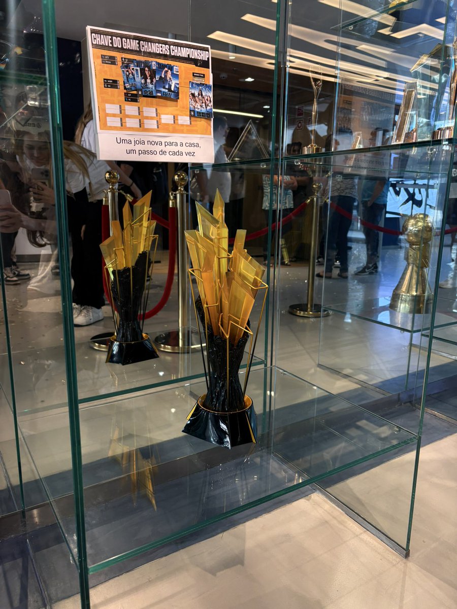 TeamLiquidBR's tweet photo. Ele chegou em casa! 🇧🇷🏆 https://t.co/feZYT03eBK