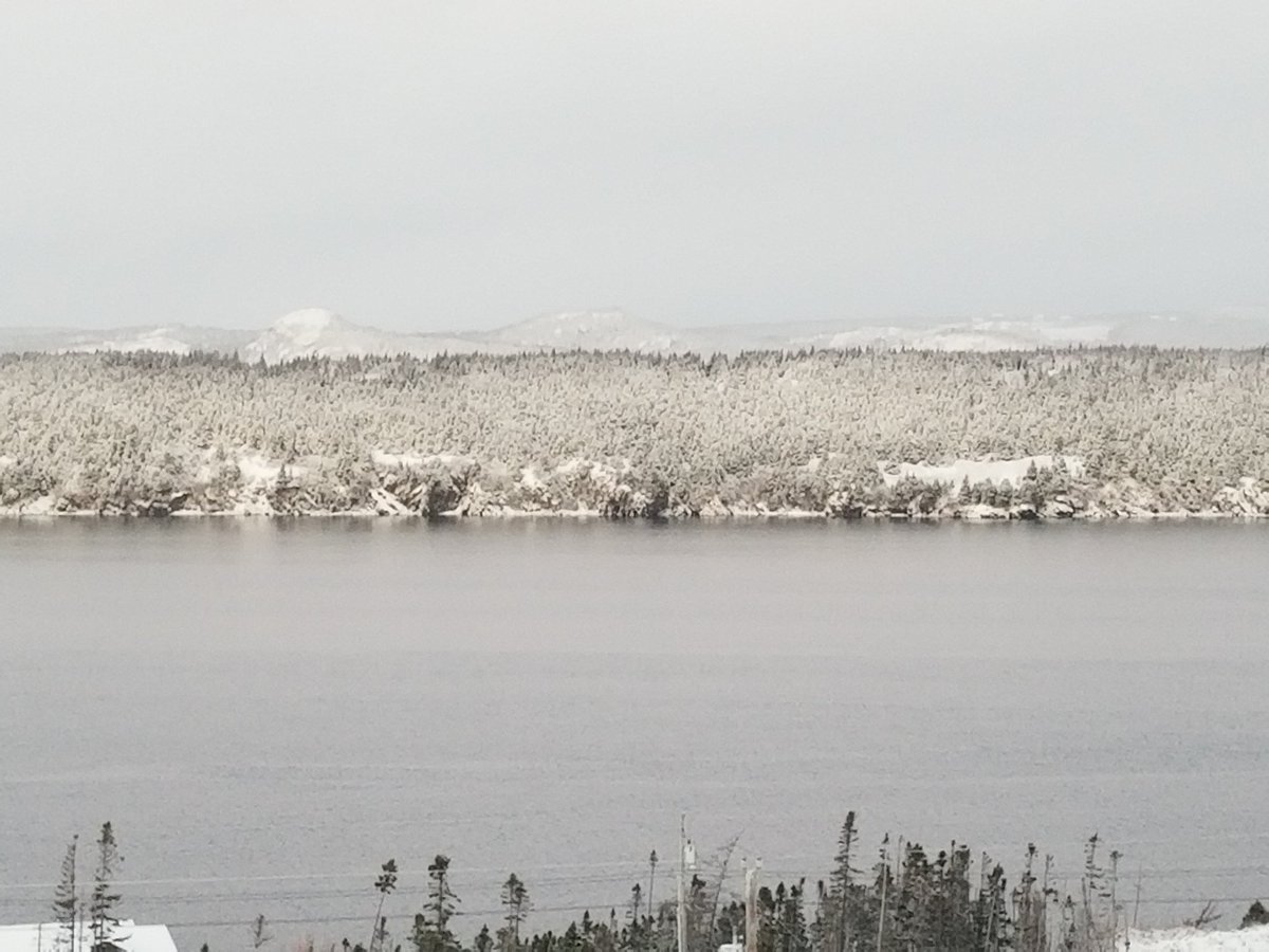 December snowfall, NL, 2025