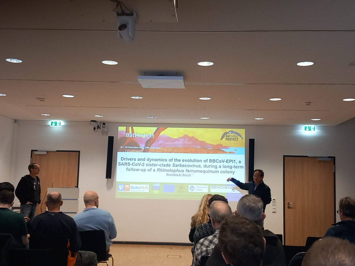 BatProtect tweet media