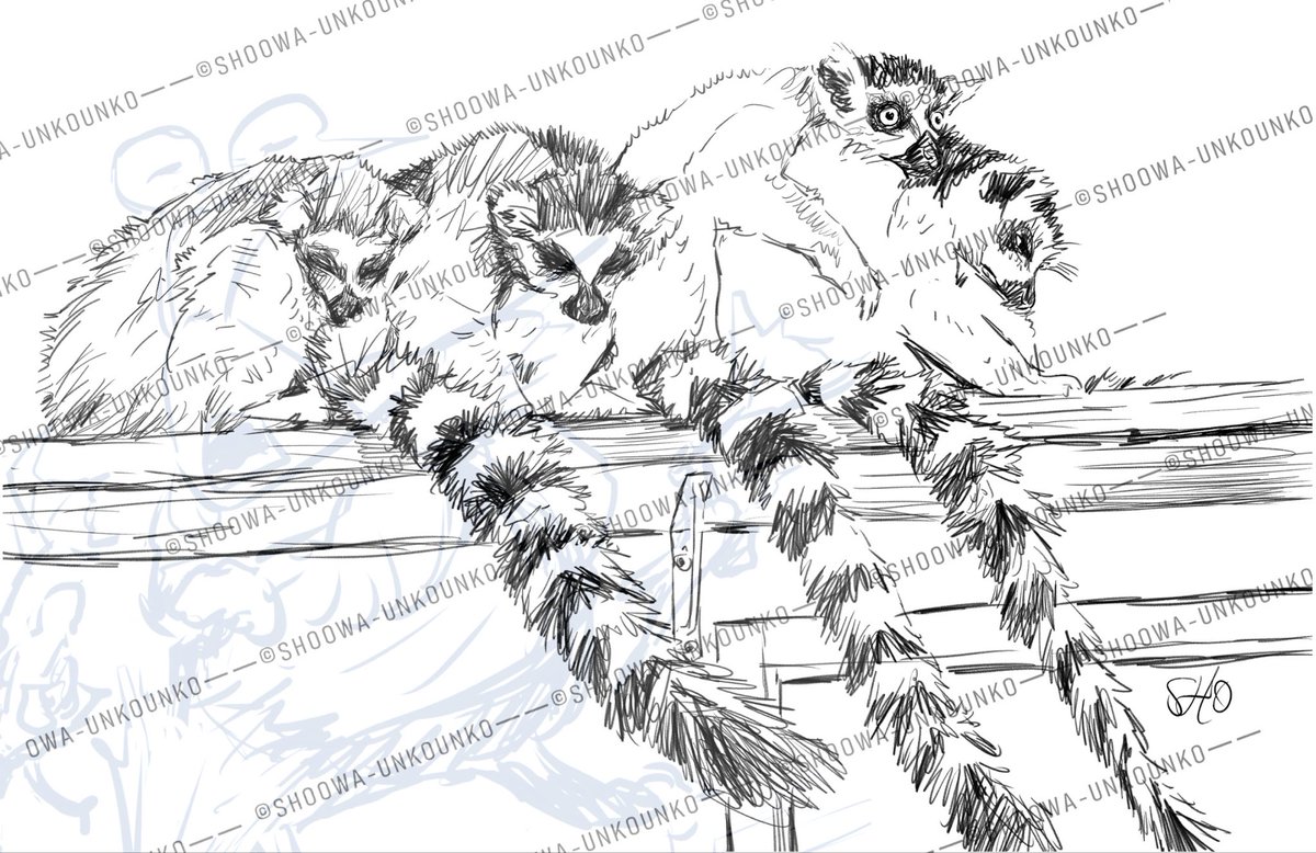 SHOOWA (@shoowa) / Posts / X