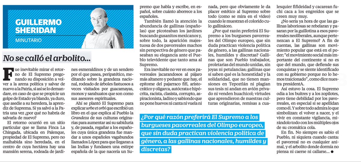 OSWALDORIOSM's tweet image. ¡Qué brillante y divertido es el maestro @GmoSheridan!

Si todavía no han leído su columna sobre el retoño del patriarca, aquí se las comparto.