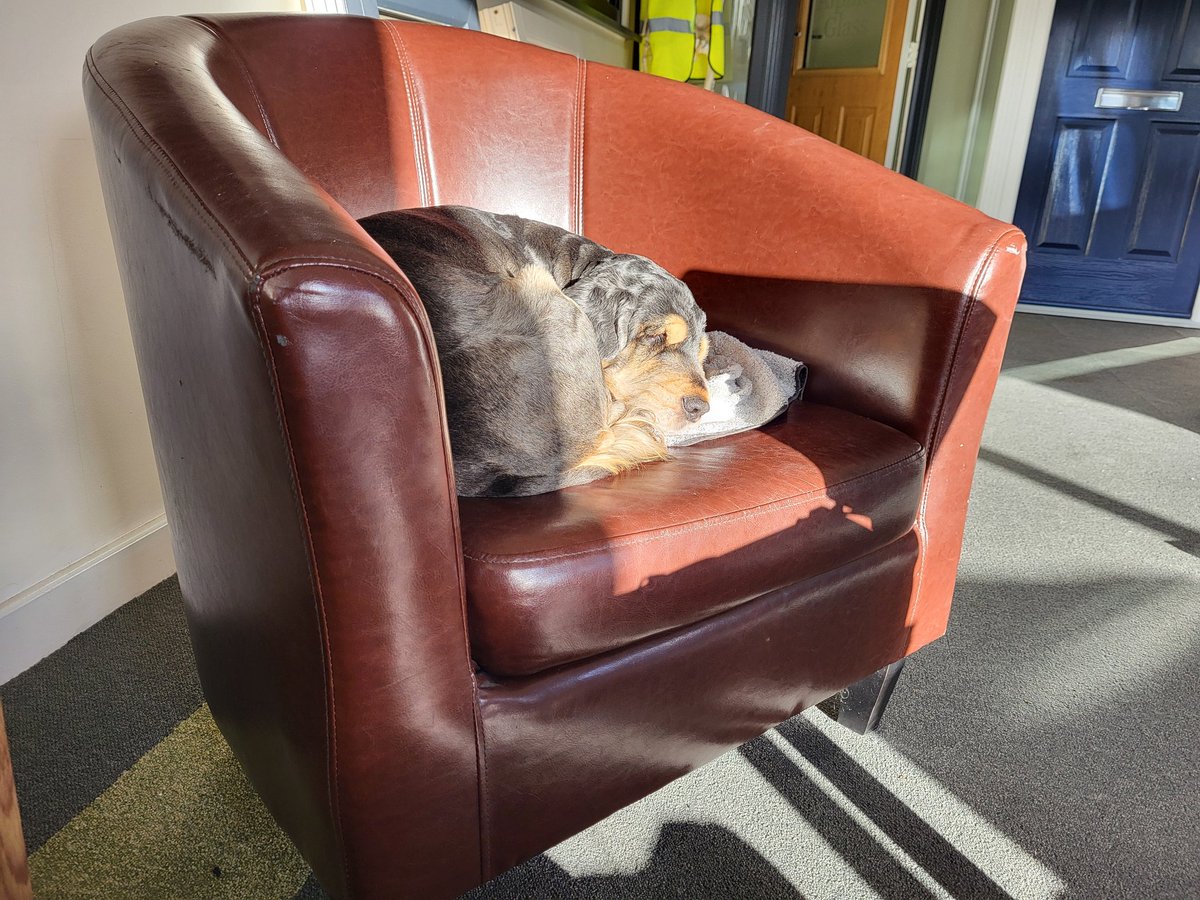 Alpine_Glass's tweet image. Lunch time over ... back to showroom appointments!

Its a hard life for some 
🐶🐾😍🐾🐶

💚💚💚

#glass #glazing #doubleglazing #van #workvan #vanlife #windows #doors #solidor #ultion #Bradford #WestYorkshire  #Home #homeimprovement #fensa #alpine #dayinmylife