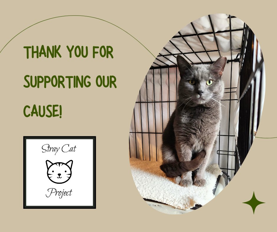 🌟 𝐓𝐡𝐚𝐧𝐤 𝐘𝐨𝐮! 🌟Your generosity on Giving Tuesday has made a lasting impact for the community cats we serve. From all of us — and all of them — thank you for helping community cats thrive! Your kindness truly changes lives. 🐾💗