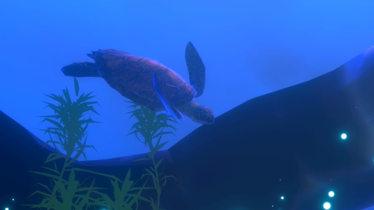 tanuh_yy's tweet image. #ネオ日置クリエイターコンテスト
▶タイトル：『吹上浜の夕とウミガメの海』
▶プラットフォーム：cluster

夕焼けの吹上浜から光の海へ🌊
砂丘の夕景と子ガメたち、光の柱を泳ぎ回るウミガメたちを表現しました🐢

▶URL：cluster.mu/w/ed61964f-534…
▶応募名：tanuh（たぬ）