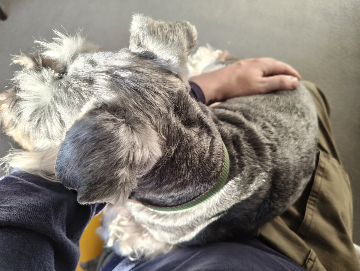 evilnoob's tweet image. Not often I get this... 😊😊😊