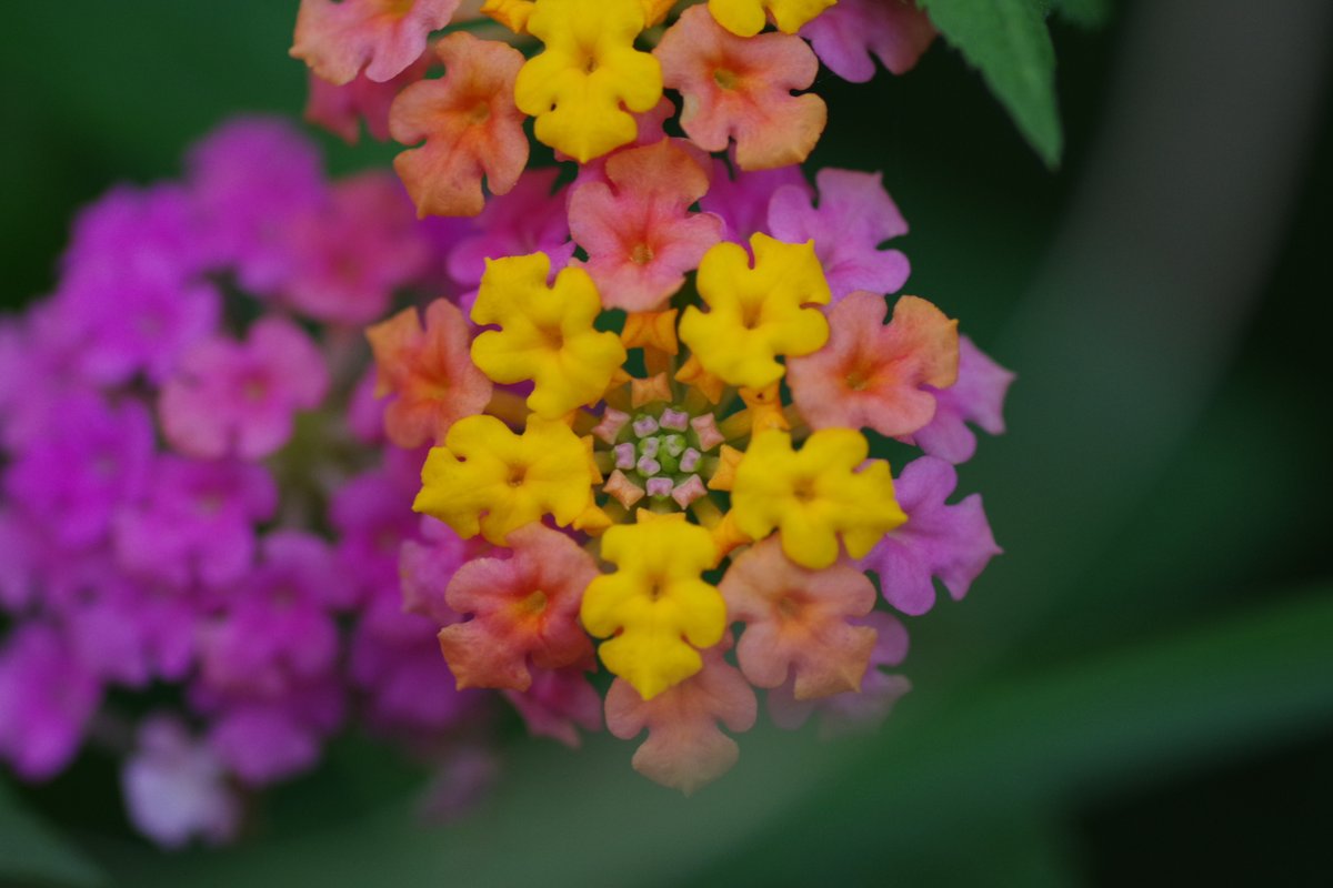 moimoi@SF (@singularityfree) / Posts / X