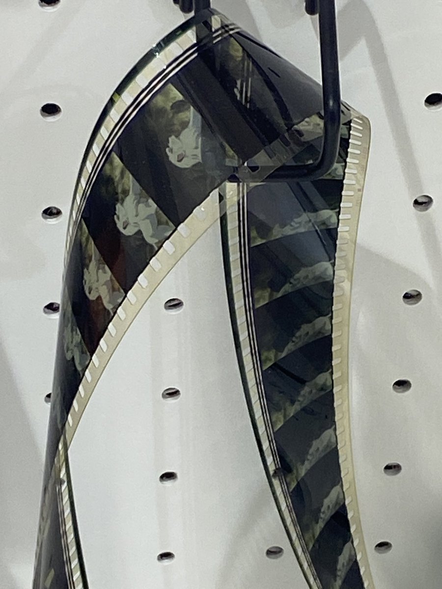 Rachel E.B. • 東京 • ⛈️ tweet media