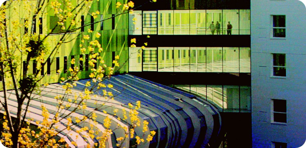 ktof_n's tweet image. #WindowsOnWednesday #alphabetchallenge #WeekWforWindows 

🏥🪟

Hôpital Robert Schuman, Metz

Canon EOS 7D
EF-S 18-55mm f/3.5-5.6 IS