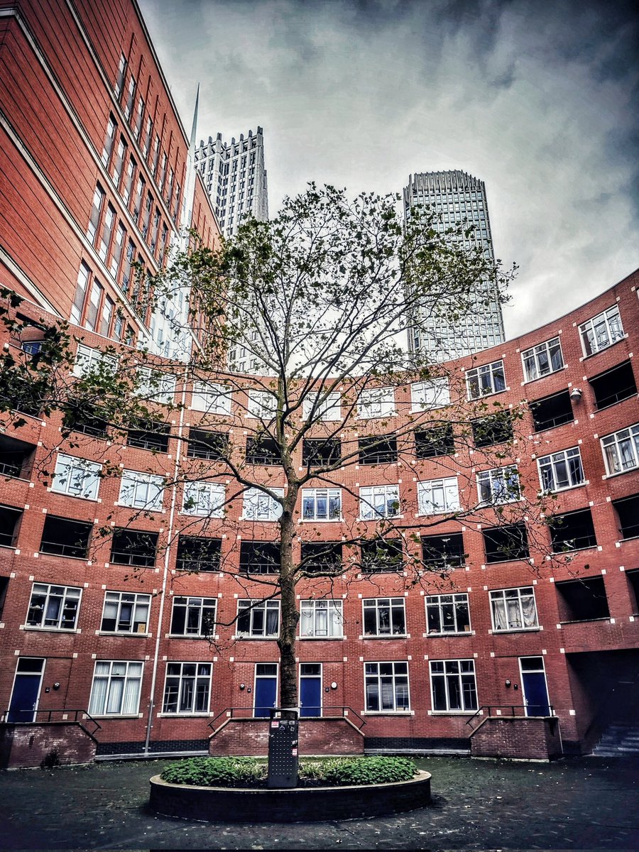 chrisbu03352910's tweet image. #AlphabetChallenge #WeekWforWindows 
Windows and #WallsOnWednesday .The Hague..
📸