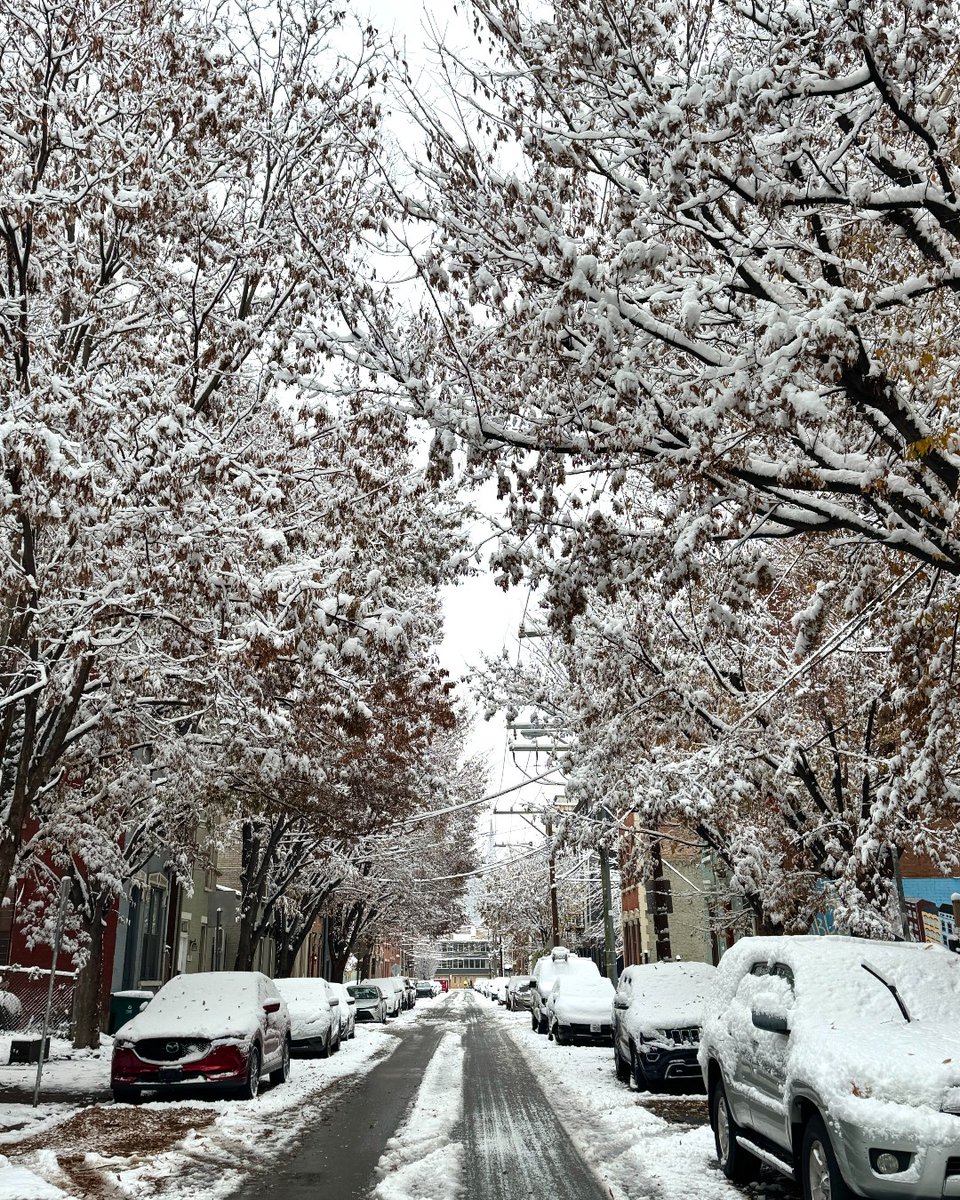 Winter wonderland in Cincinnati. ❄️