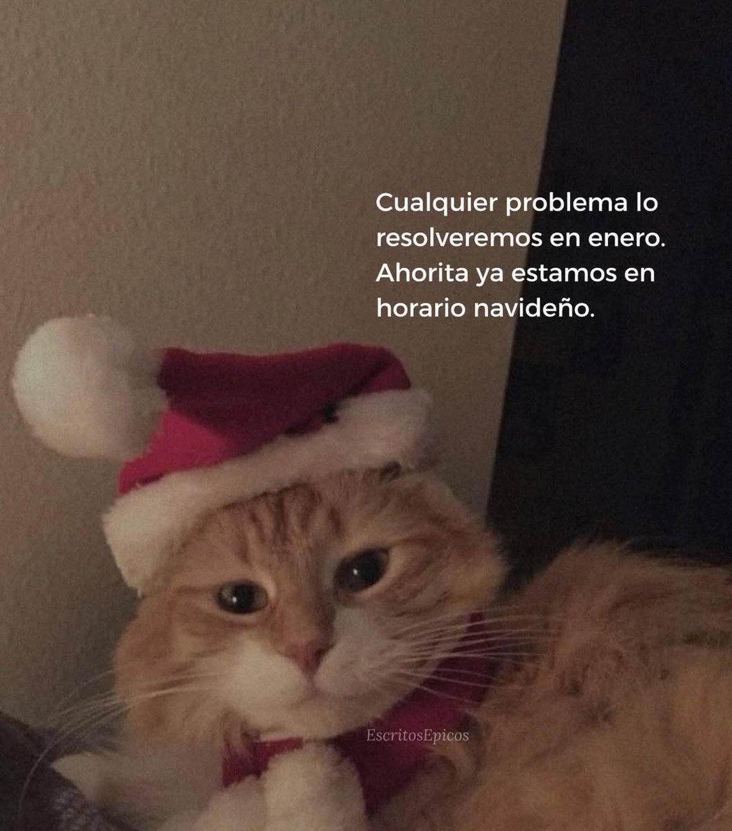 🌙 mini textos (@soyminitextos) on Twitter photo 