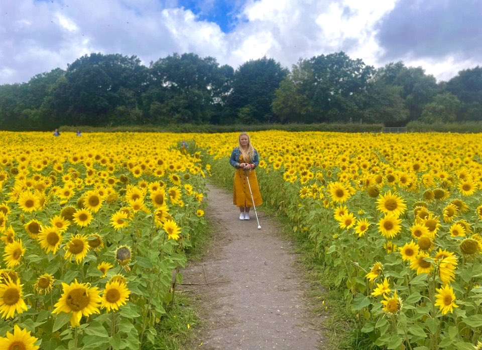 The World Is Beautiful Blind tweet media