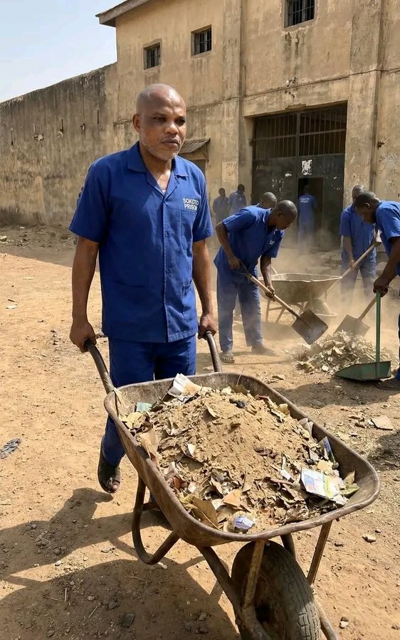 BabanyaraDorayi tweet media