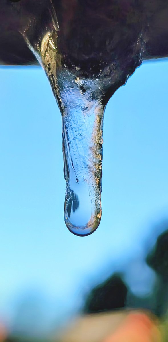 Jon Harvey tweet media