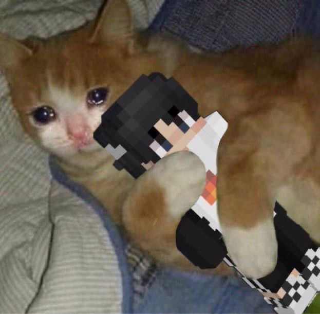 A veces solo quiero que Sapnap haga streams todos los días, pero luego me acuerdo que es co-owner de NRG y para viajando de estado a estado😥