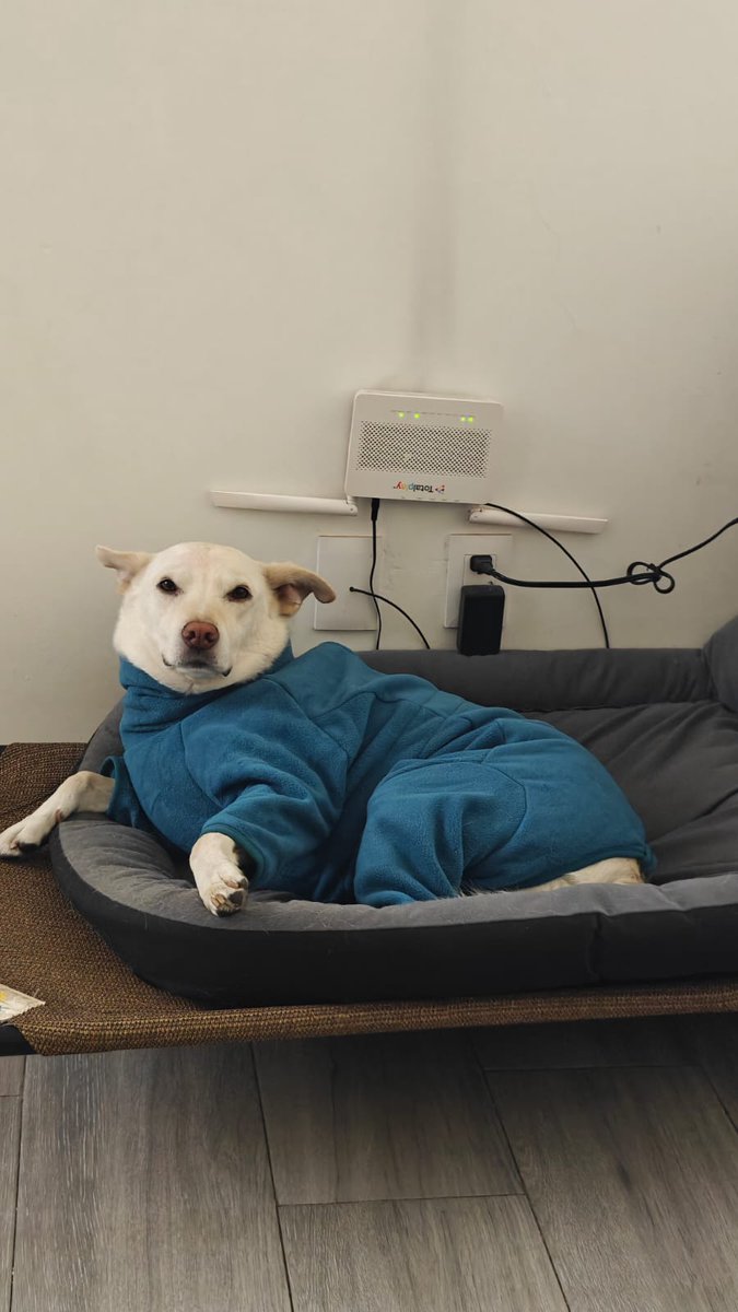 🧜🏼‍♀️Jenny watch the stars🧜🏼‍♀️ tweet media