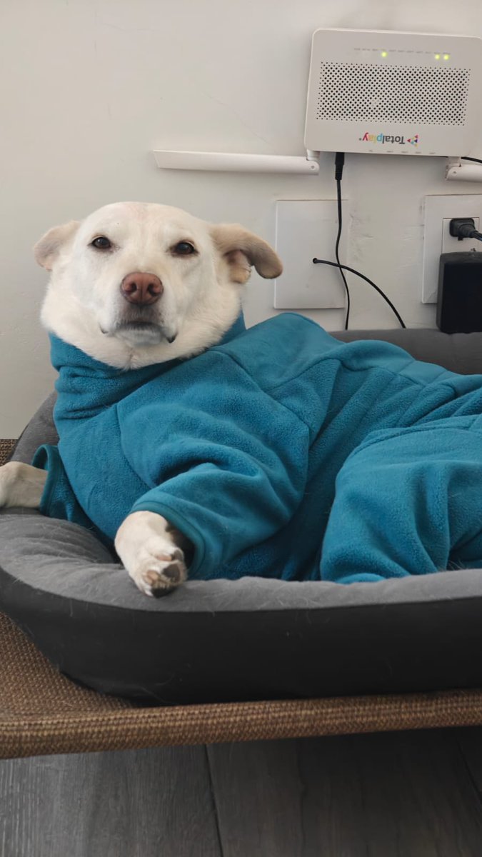 Mi exmarido y yo nos llevamos muy bien y cada Navidad le manda una prenda de ropa a Danonino. A mí nada, pero a Dano siempre. Este año le llegó un jumpsuit azul. Adelante con las imágenes.