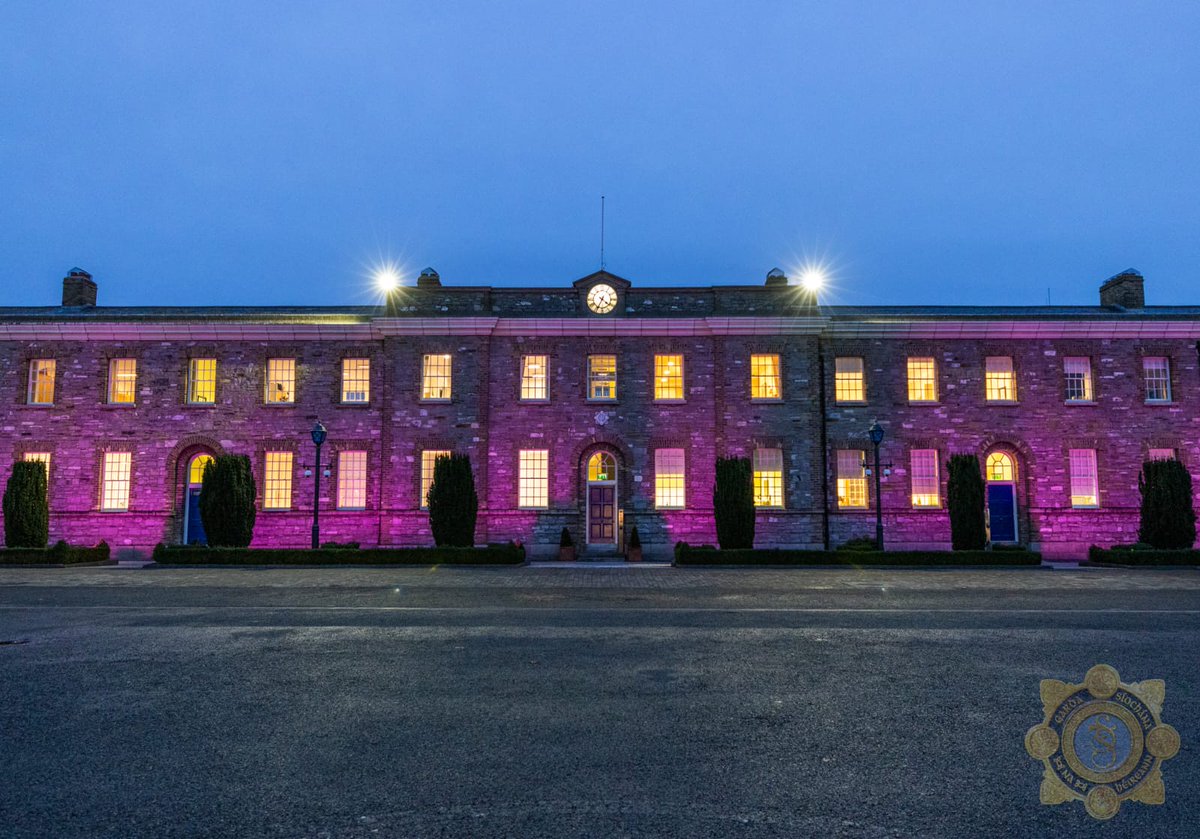An Garda Síochána have partnered with 
<a href="/DisabilityFed/">DFI</a> and Gary Kearney, Brain Injury Survivor and Founder of Purple Lights to light Garda Headquarters up purple,  to show our support for people living with a disability in Ireland. 💜

#PurpleLights25 #IDPwD25