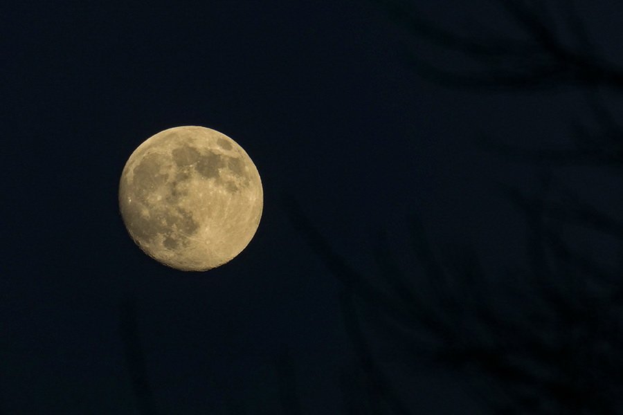 Snežana Lukić lansirala Mesec: