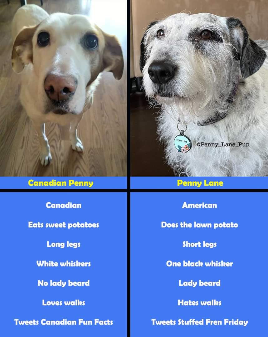 𝗣𝗲𝗻𝗻𝘆 𝗟𝗮𝗻𝗲- Lawn Potato TM tweet media