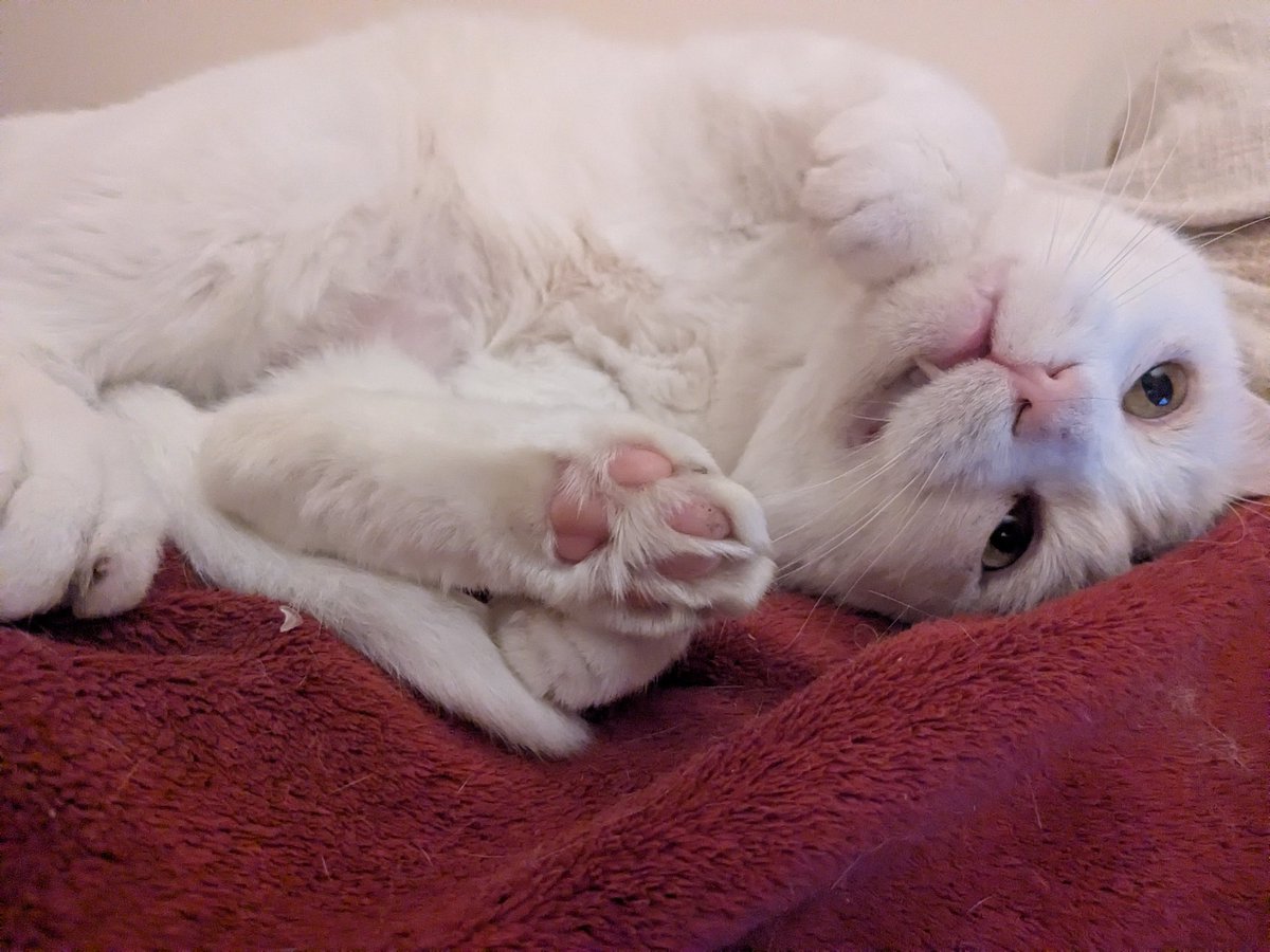 siley  time whose with me