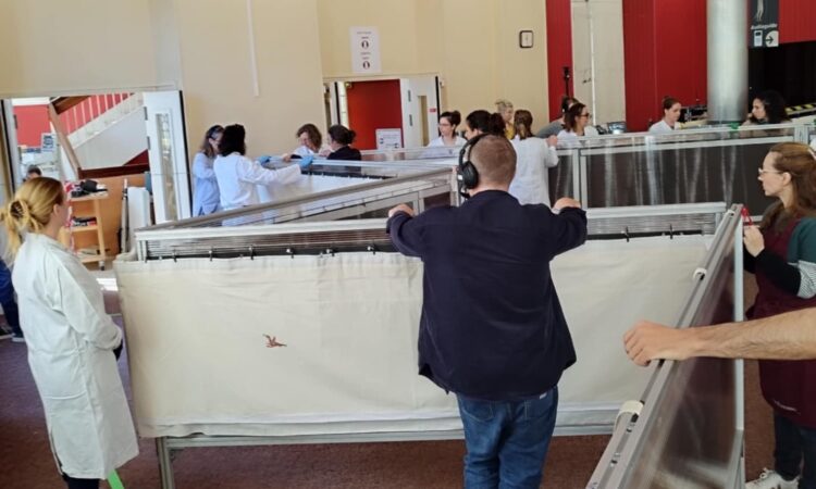 Medieval Dress and Textile Society tweet media