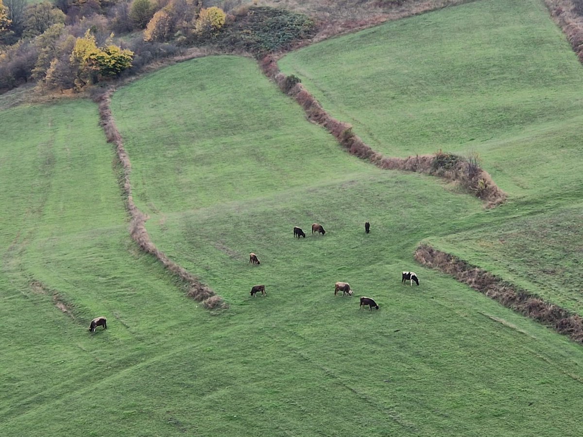 FONDS ARMENIEN DE FRANCE tweet media