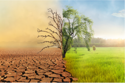 Abogacia_es's tweet photo. 📢 Aún estás a tiempo de inscribirte al Seminario sobre las últimas novedades legales en cambio climático en Europa
💻 Webinar gratuito dirigido a abogados.
🗓️ 15 dic 2025 | 10:00-13:00 (con interpretación EN↔ES)
👉 Inscripciones gratuitas: https://t.co/tmmtYEAZ8p https://t.co/RwfgTWt8nD