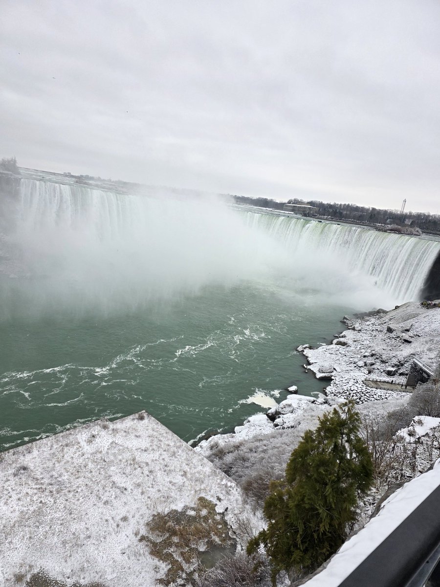 이곳은 캐나다

못참고 메이플 시럽도 삼