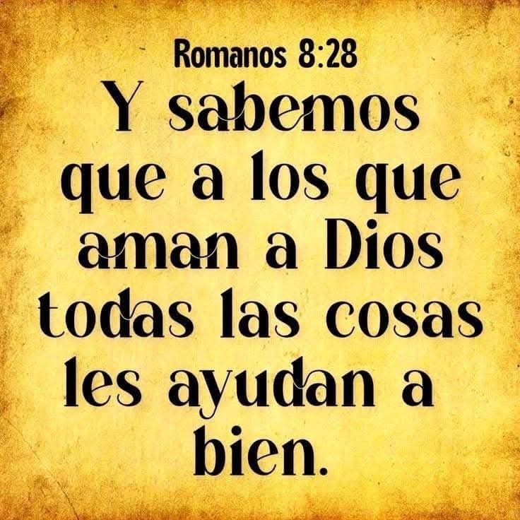 Hija de Dios (@elena70414340) on Twitter photo 