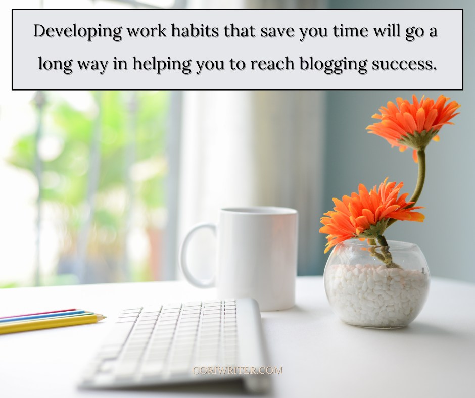 What work habits have helped you on your writing &amp; blogging journey?