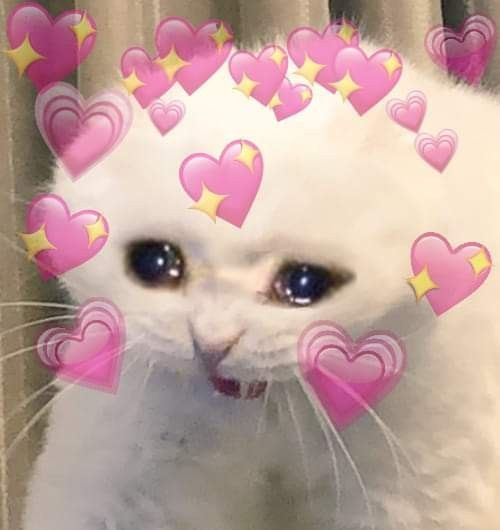 La carita de mi Naruto al ver que Sasuke estaba bien lo es todo para mí, es literalmente: