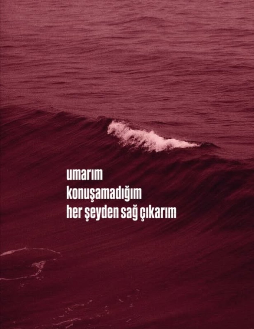 Hanedan Sahhaf (@hanedansahhaf) on Twitter photo 