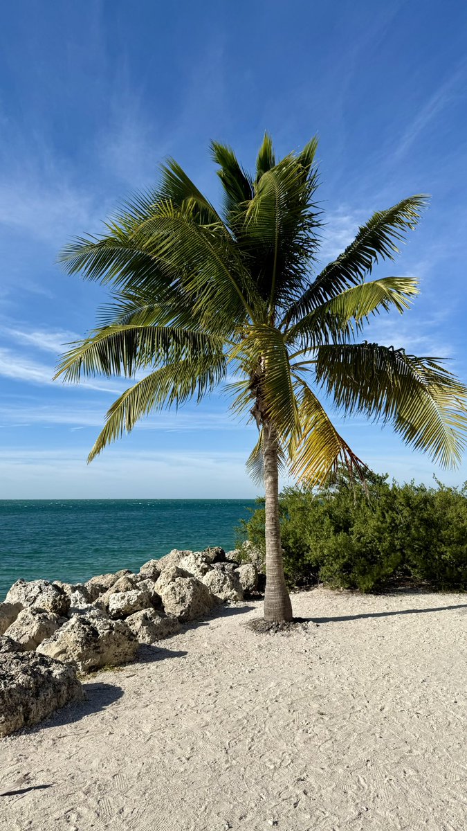 daytradingrealtor 🧔🏻‍♂️ tweet media