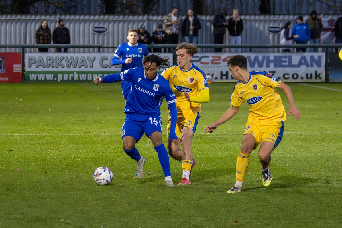 Harvey Gerring tweet media