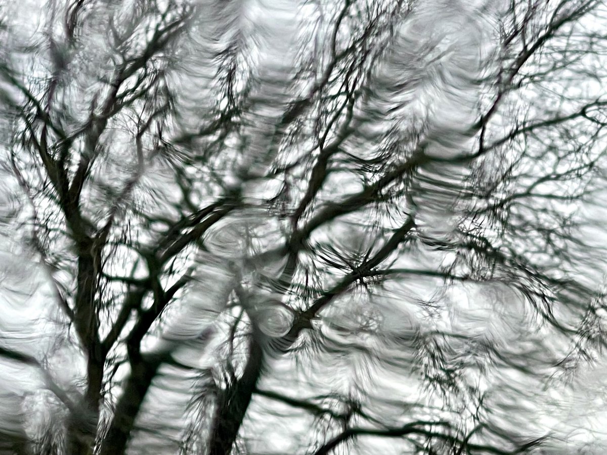 Abstract.
Tree through a rain filled car windscreen today.
Outing was abandoned.
Powfoot, Scotland