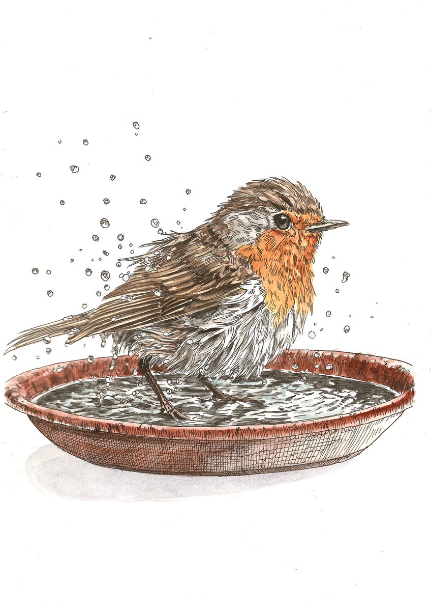 Tekening gemaakt. Het is een roodborst. 
Ook die moeten de veren soms wassen. 

‘Woensdag wasdag’ 
29,7 x 21 cm
Inkt en aquarel op papier

Delen? Dat is lief.